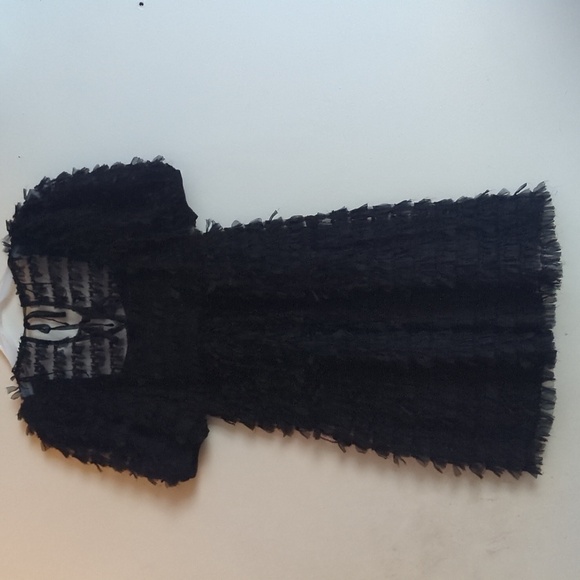 Zara Tulle Fringe Dress - Picture 9 of 12